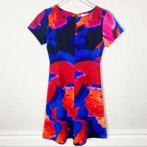 Amanda uprichard colorful dress
